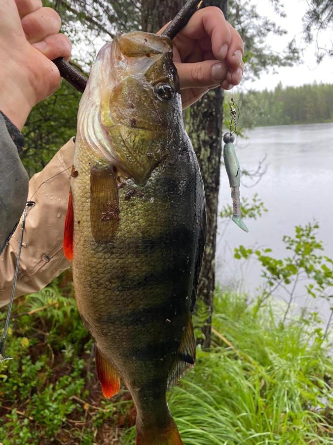 Вилла Saimaa Raikala Vuoriniemi Экстерьер фото